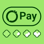 خرید قسطی از خانوم خونه با ترب پی 1