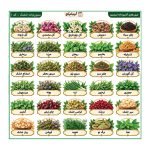 برچسب سبزیجات خشک لیبلینو کد ۱